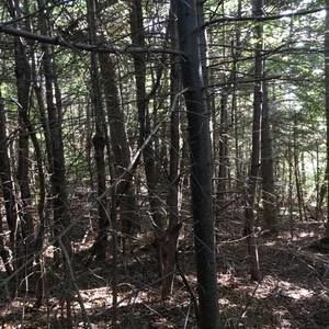 Meet your Posher, Brock